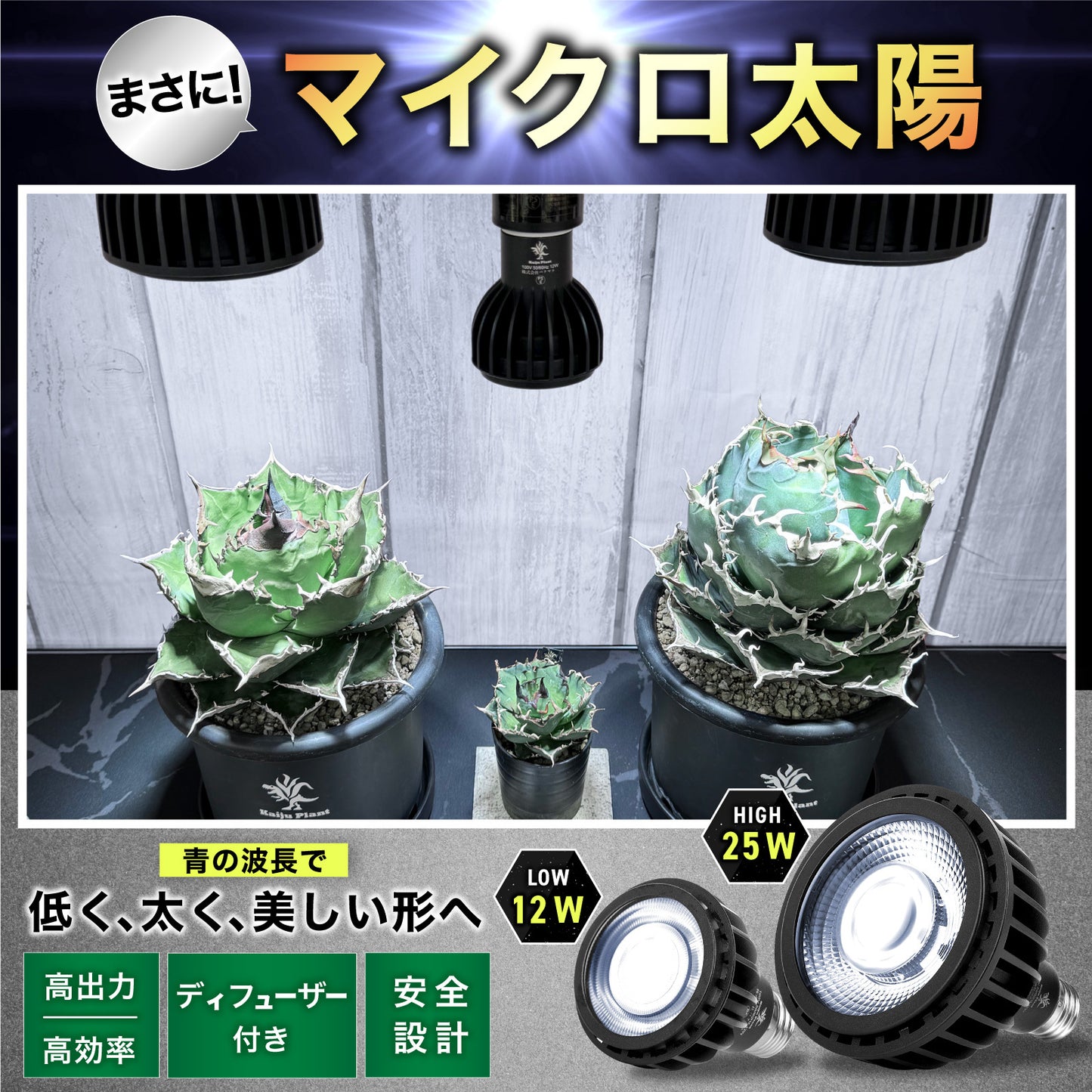 怪獣ビームLOW 12W