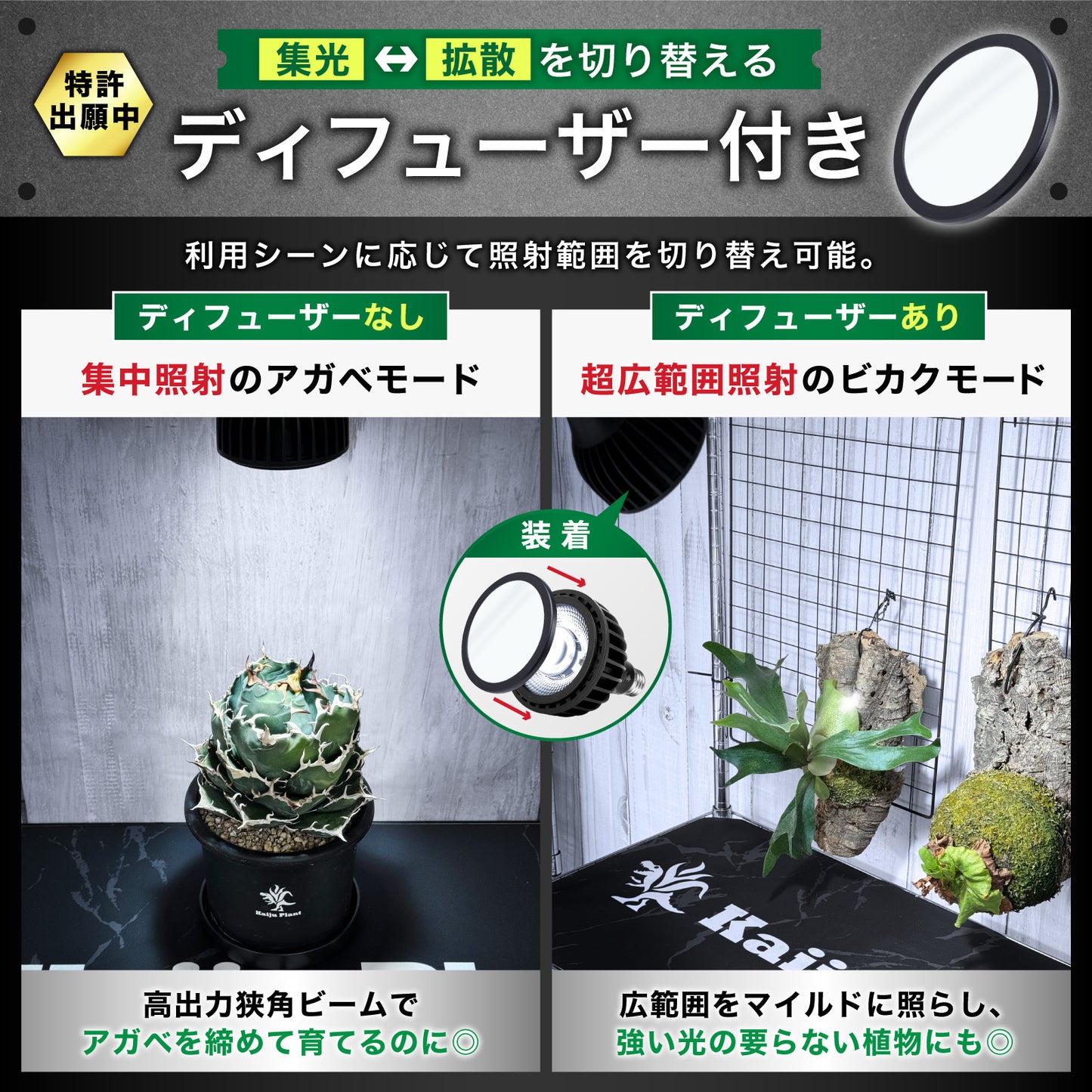 怪獣ビームLOW 12W