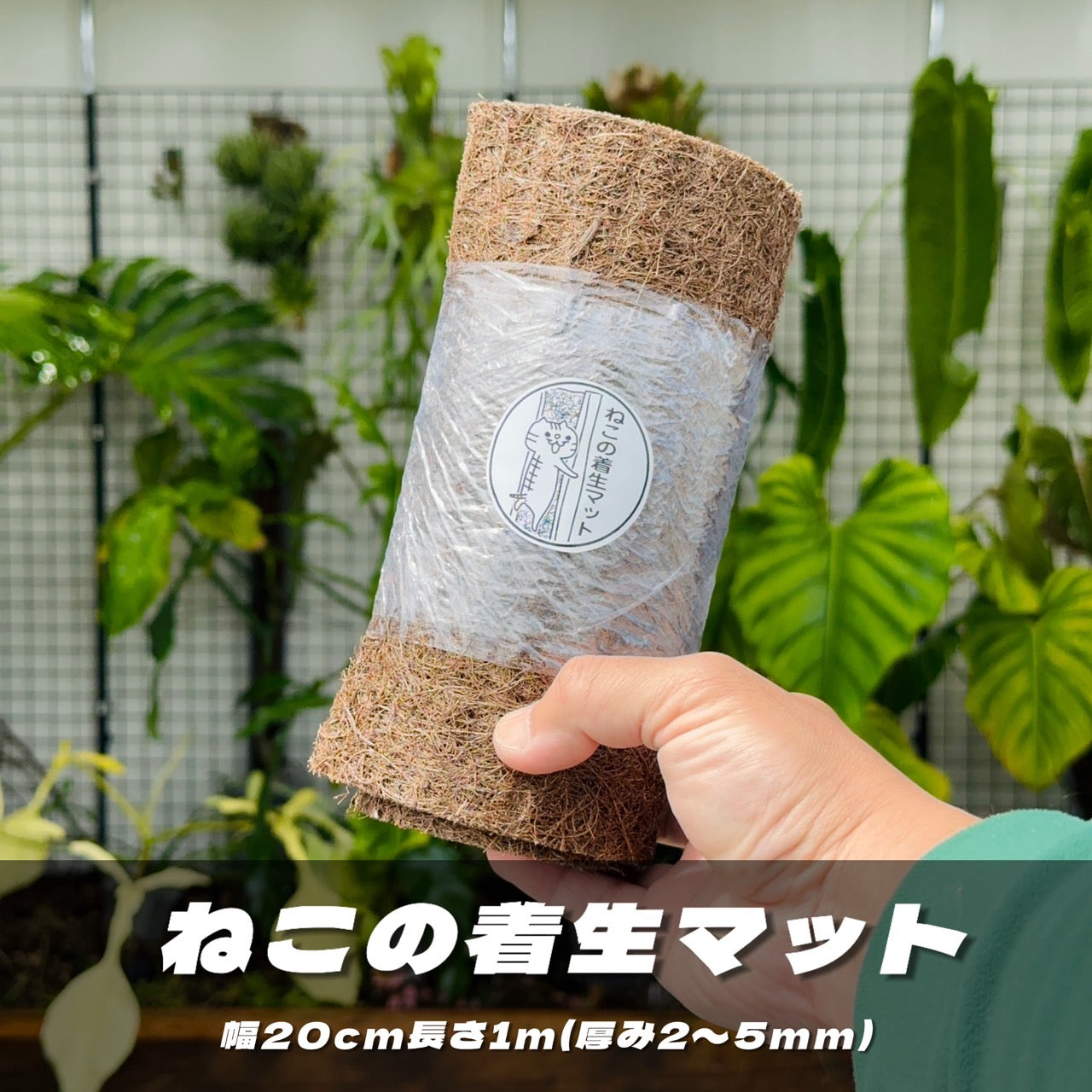ねこの着生マット