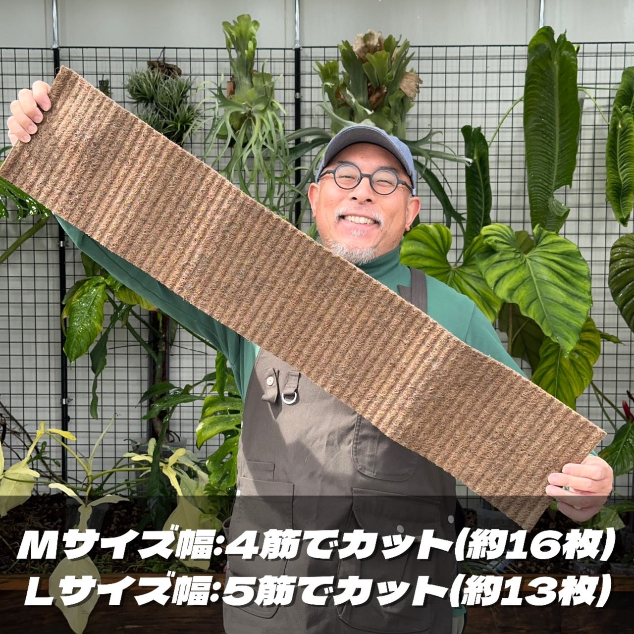 ねこの着生マット