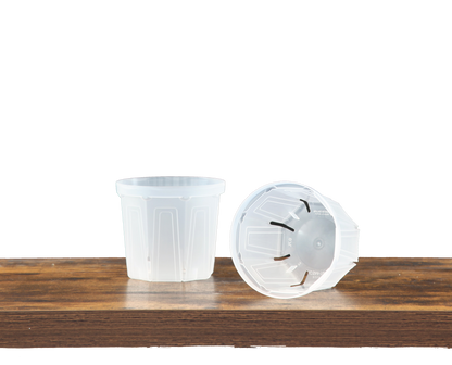 CSM-POT（数量限定セット販売）