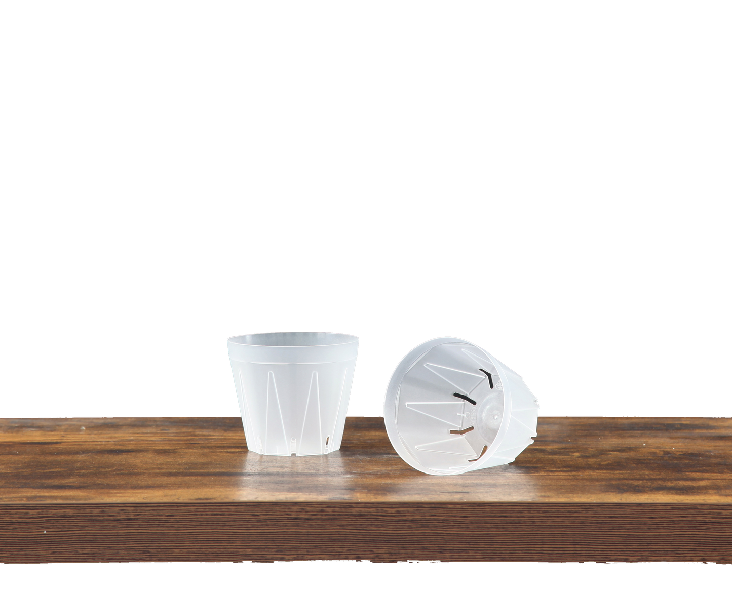 CSM-POT（数量限定セット販売）