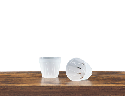 CSM-POT（数量限定セット販売）