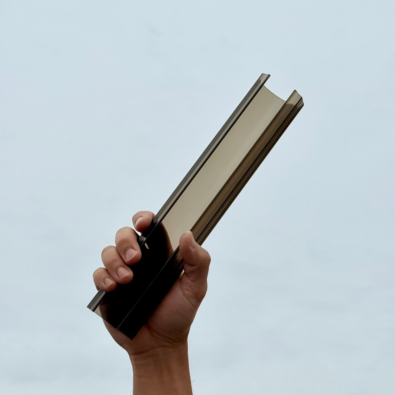 ねこ型登り棒　ねこ型 （クリアブラック）