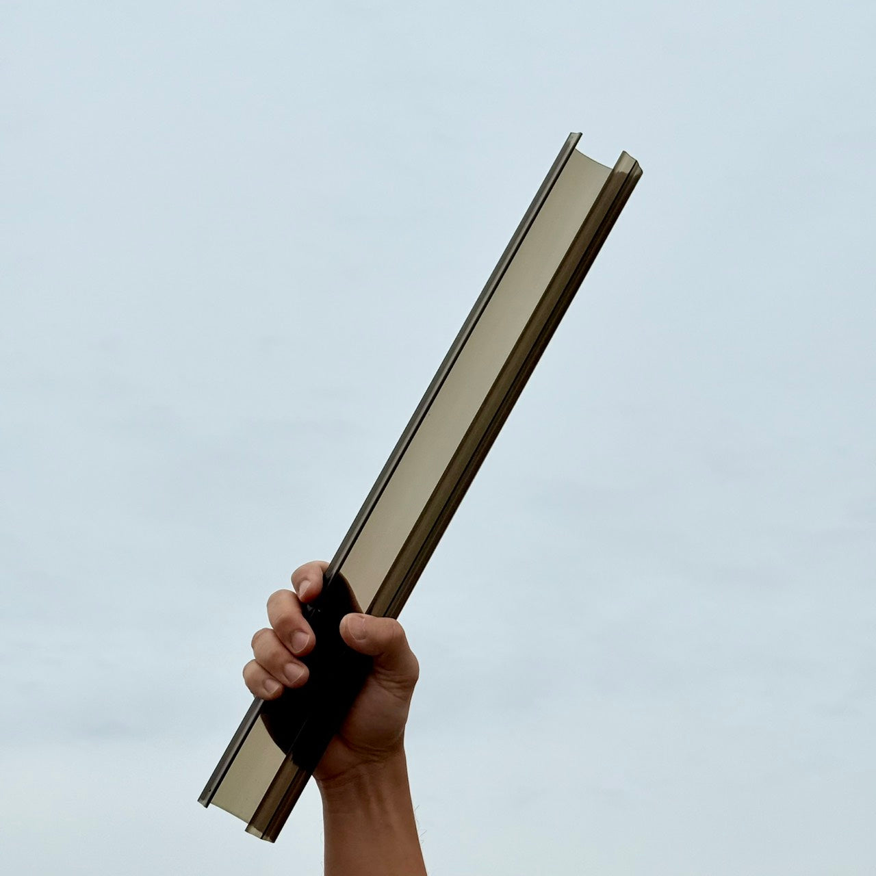 ねこ型登り棒　ねこ型 （クリアブラック）